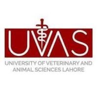 University of Veterinary Science