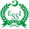 Punjab Employees Social Security Institution (PESSI)